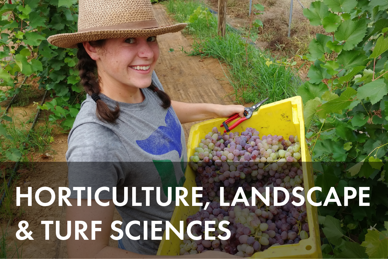 Horticulture, Landscape & Turf Sciences