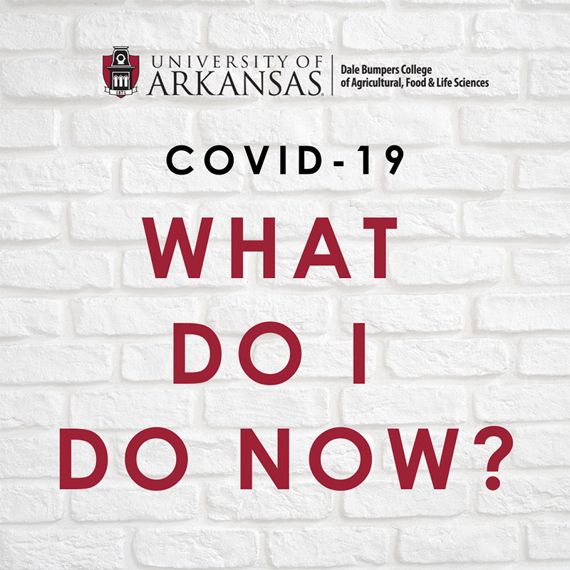 covid-19 graphic