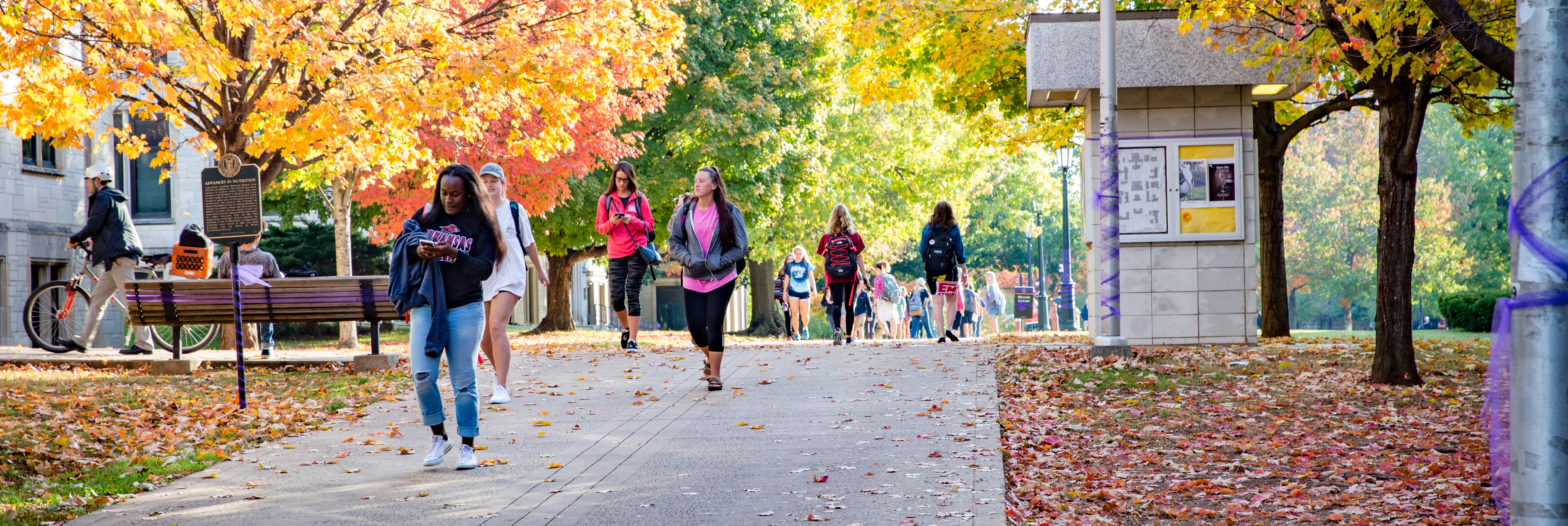 Students walking on UA Campus