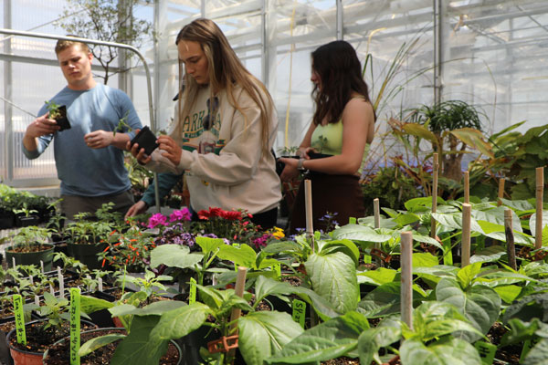 Plant Science Students in Greenhouse