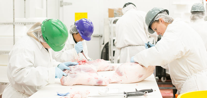 animal science students working in meat lab