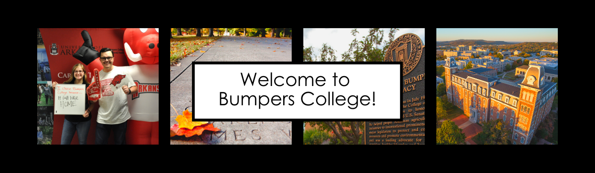 New Student Orientation Bumpers College University Of Arkansas